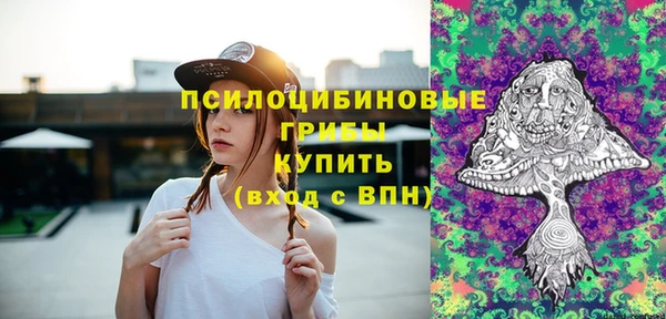 мдпв Беломорск