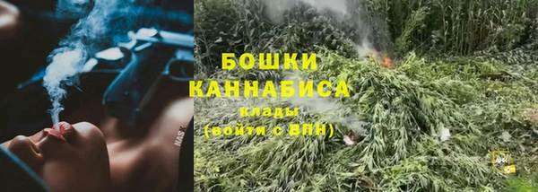 ГАЛЛЮЦИНОГЕННЫЕ ГРИБЫ Белоозёрский