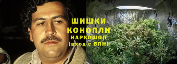ГАЛЛЮЦИНОГЕННЫЕ ГРИБЫ Белоозёрский