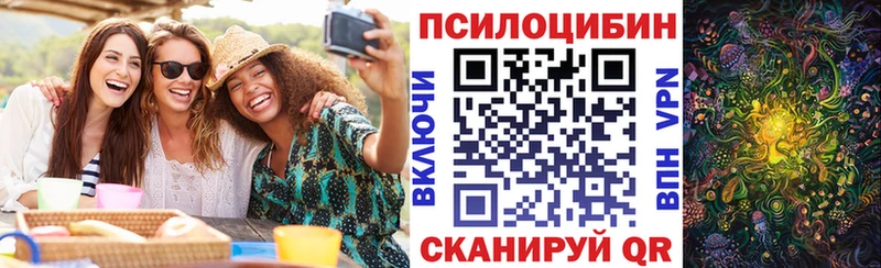 Псилоцибиновые грибы Psilocybe  магазин    mega ONION  Билибино 